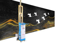 Imprimante Liftable du mur 3d de rail, machine automatique de peinture d'image de mur